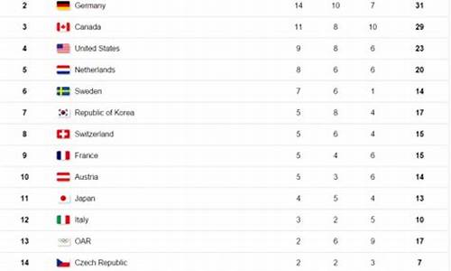 平昌冬奥会奖牌榜分析,平昌冬奥会奖牌榜分析图